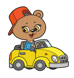 Cute Cartoon Baby Bear Ride In Little Car Color