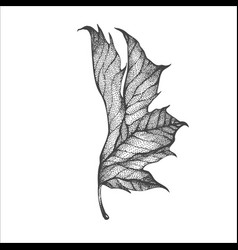 Handdrawn Leaf Leaf Drawing