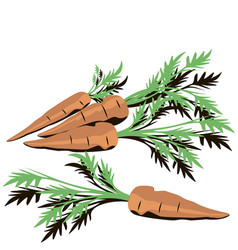 Carrots With Leaves