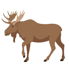 Moose Flat Style Profile