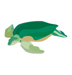 Happy turtle cartoon isolated on white background Vector Image