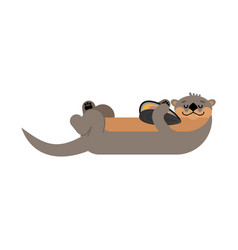 Otter Isolated Sea Swims