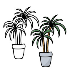 Palm Trees In A Flower Pot Coloring Book Page