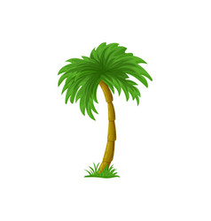 Palm Tree Cartoon Isolated On White Coco