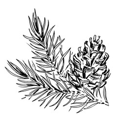 Pinecone Branch Black And White High