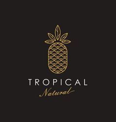 Pineapple Logo Icon Tropical Fruit Logo