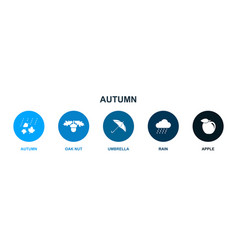 Autumn Oak Nut Umbrella Rain Apple Icons