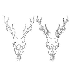 Deer Skull With Flowers Element For Tattoo