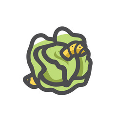 Cabbage And Worm Icon Cartoon