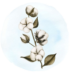 Watercolor Delicate Cotton Flower Branch