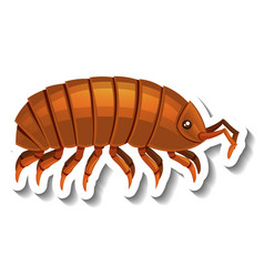 Isopod Animal Cartoon Sticker