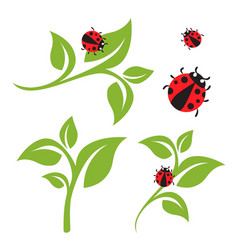 Flat Green Leaf And Ladybug Set