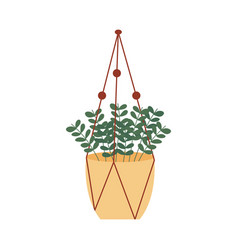 Houseplant In Yellow Pot Macrame Plant Hanger