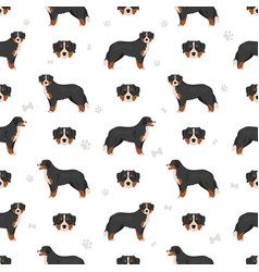 Bernese Mountain Dog Seamless Pattern