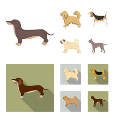 Pikinise Dachshund Pug Peggy Dog Breeds Set