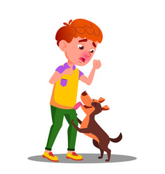 Allergic Sneezing Boy With A Dog Isolated