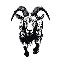 Portrait Of A Running Goat With Long Horns