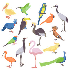 Drawing Set Of Birds