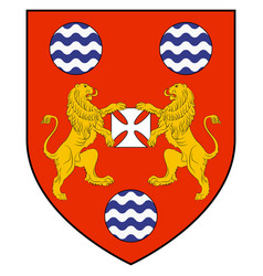 Coat Arms City Birr Ireland