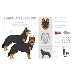 Bohemian Shepherd Dog Clipart All Coat Colors Set