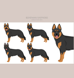 Bohemian Shepherd Dog Clipart All Coat Colors Set