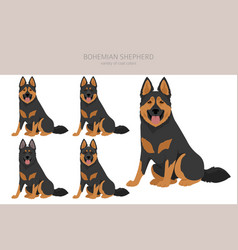 Bohemian Shepherd Dog Clipart All Coat Colors Set