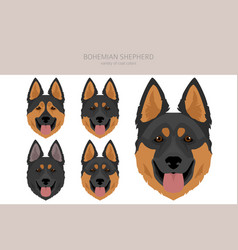 Bohemian Shepherd Dog Clipart All Coat Colors Set