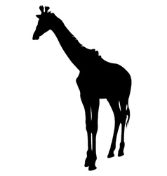 Giraffe Silhouette