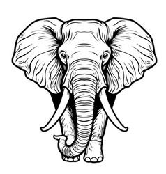 Elephant Standing Sketch Hand Drawn Graphic Safari