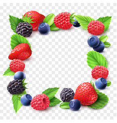 Berry Frame Transparent