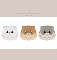 Chinchilla Persian Longhair Modern Cat Clipart