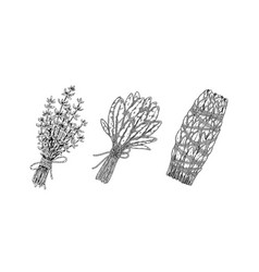 Herbal Bunches Set Of Hand Drawn Leaf Seasonings