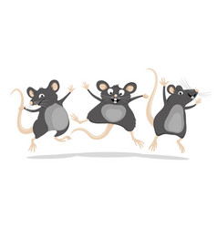 Three Funny Gray Rats In A Jump