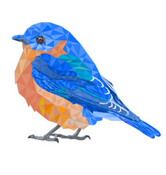 Bluebirds Small Birds Thrush Polygons