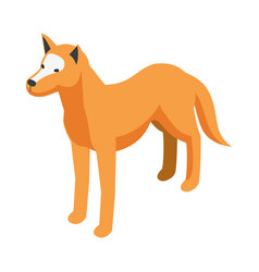 Isometric Dingo