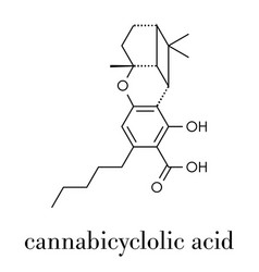 Cannabicyclolic Acid Cannabinoid Molecule