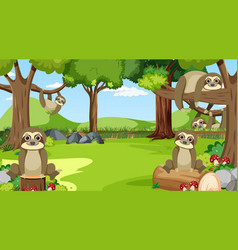 Sloths In The Forest Scene