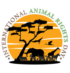 International Animal Rights Day Banner Design