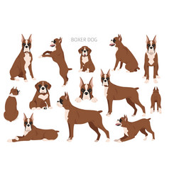 Boxer Dog Clipart All Coat Colors Set Different