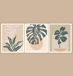 Set Of Boho Aesthetic Abstract Botanical Wall Arts