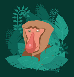 Proboscis Monkey Face Clip Art