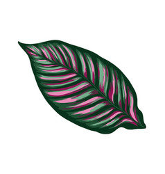 Tropical Jungle Palm Leaf Realistic Hand