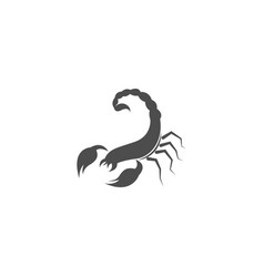 Scorpion Icon Logo Design