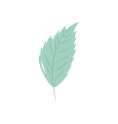 Autumn Leaves Concept Hornbeam Leaf Icon Flat