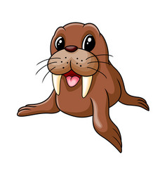 Cute Baby Walrus Happy A Smile