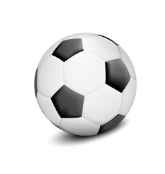 Realistic 3d Soccer Ball With Shadow Isolated On