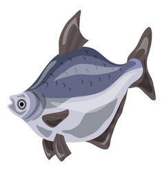 Bluegill Fish Icon Cartoon Style