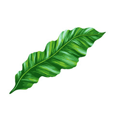 Tropical Jungle Palm Leaf Realistic Hand