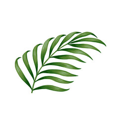 Tropical Jungle Palm Leaf Realistic Hand