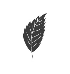 Autumn Leaves Concept Hornbeam Leaf Icon